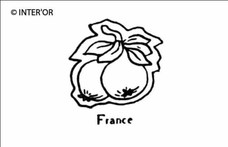 Bouquet de pommes