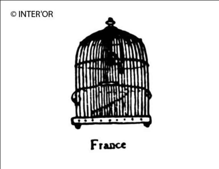 Cage a oiseau