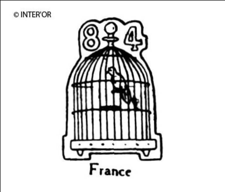 Cage a oiseau. 84