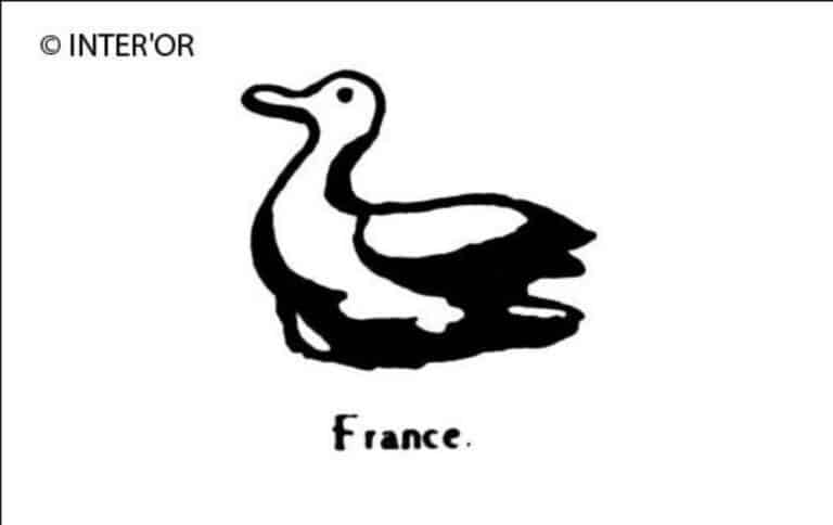 Canard