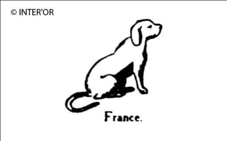 Chien de chasse