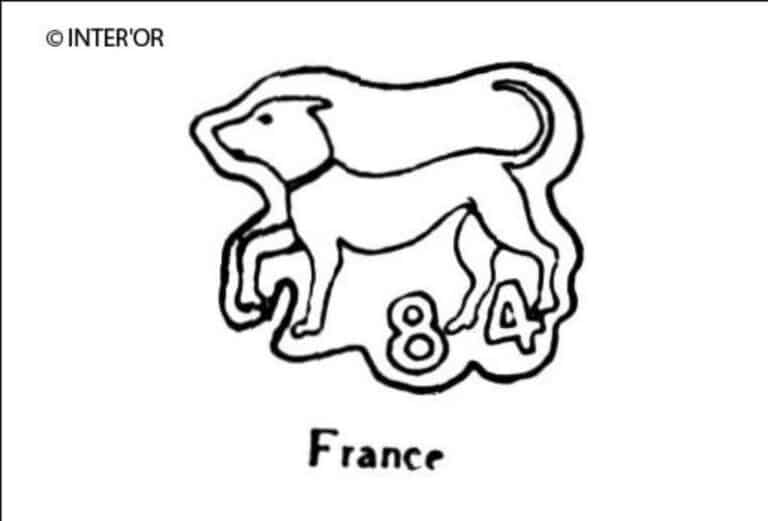 Chien passant 84