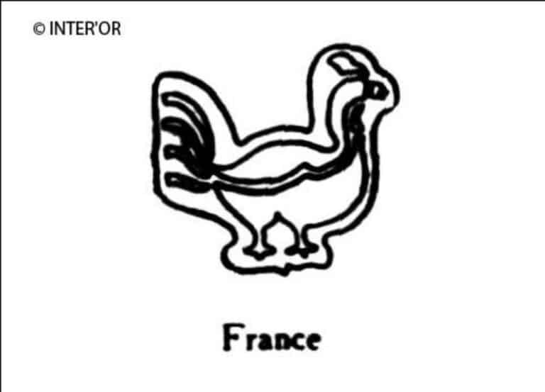 Coq à droite