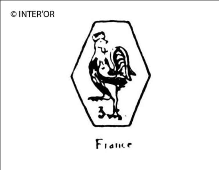 Coq a gauche tournant la tete