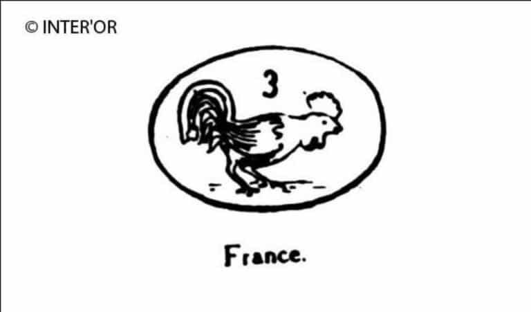 Coq becquetant a terre