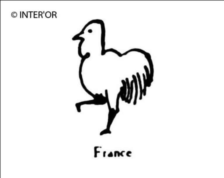 Coq patte droite levee
