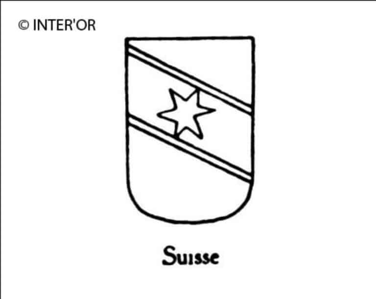 Ecusson - deux bandes - une etoile