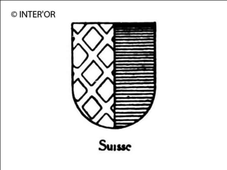 Ecusson mi-azur et mi-losange