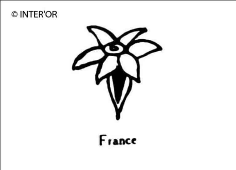 Fleur