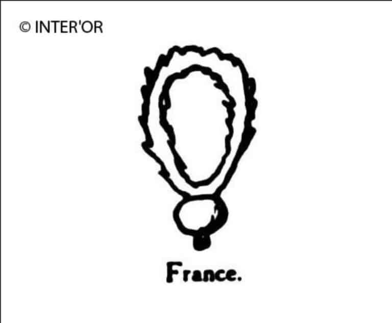 Fleur de grenadier