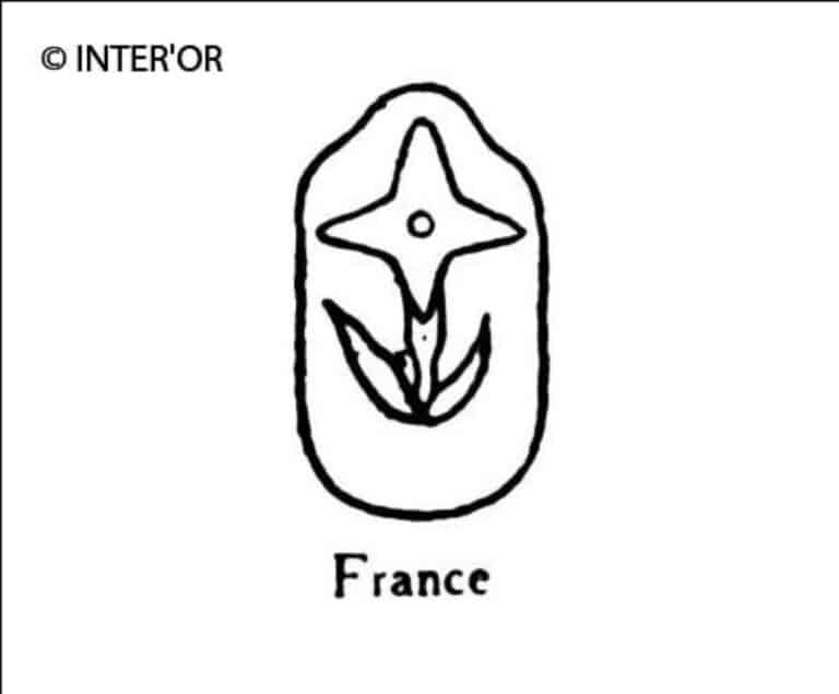 Fleur de jasmin