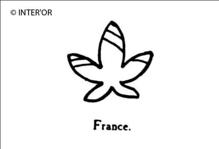 Fleur de lys