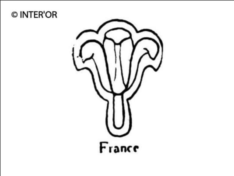 Fleur de lys stylisee