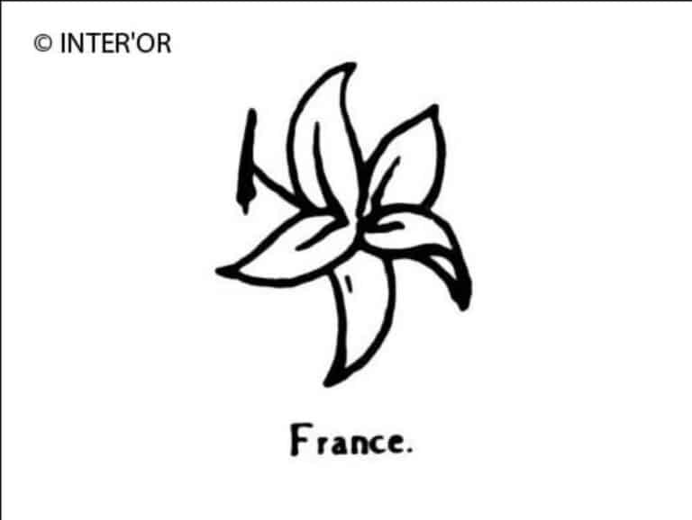 Fleur de mouron