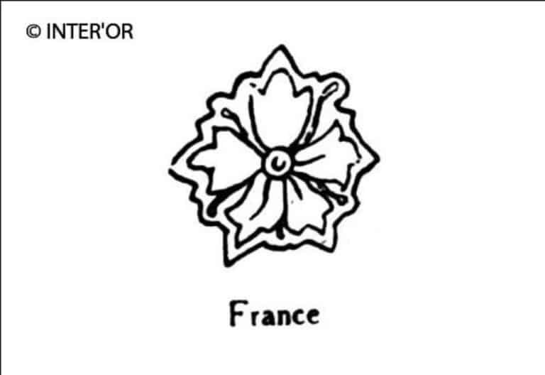 Fleur de neflier