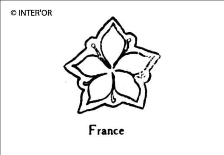 Fleur de persil de macedoine