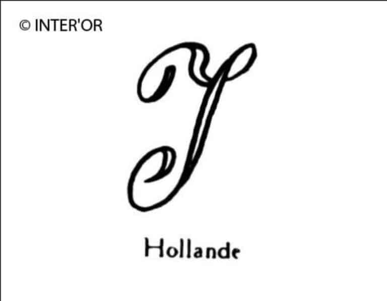 Lettre y