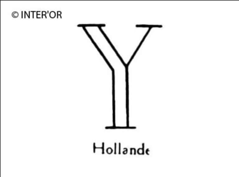 Lettre y