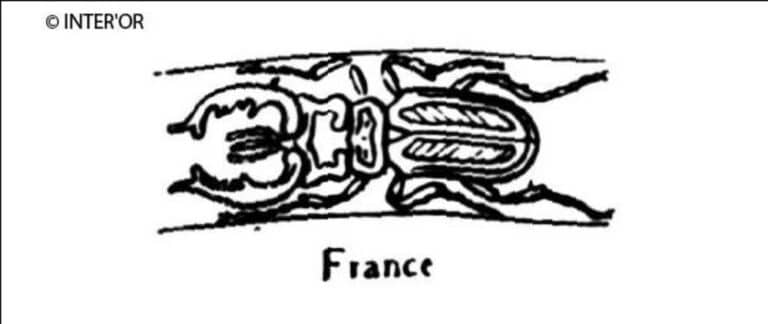 Lucane
