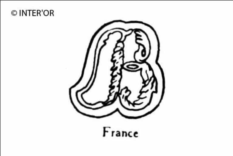 Majuscule b