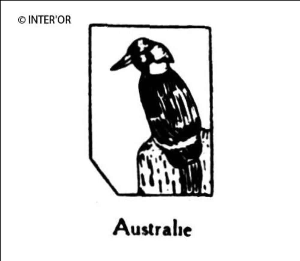 Martin-chasseur (kookaburra)