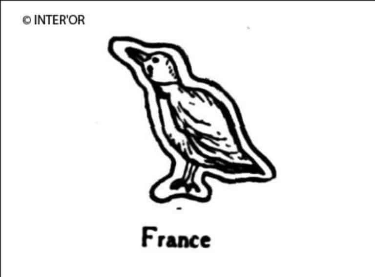 Martin-pecheur