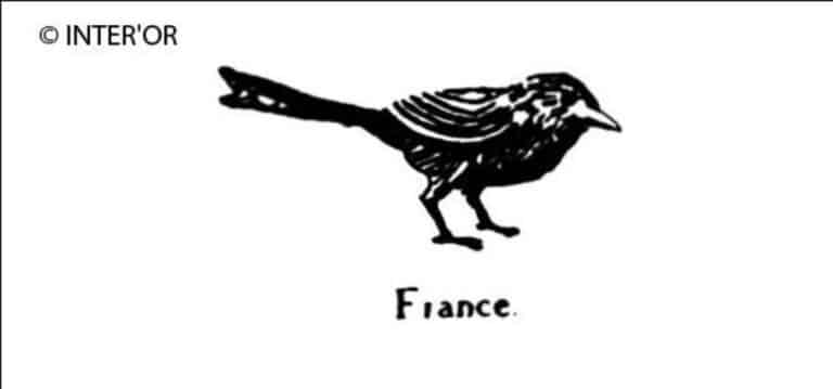 Mauviette
