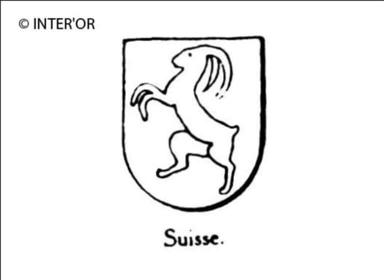 Mouflon