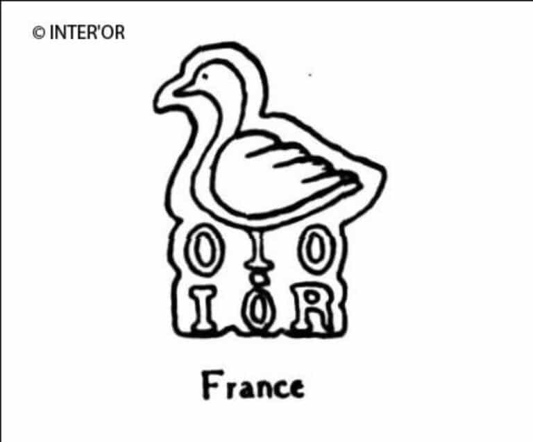 Oie trois ronds. I. R