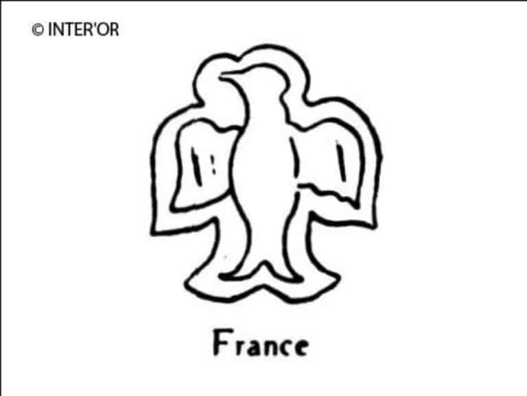 Oiseau aux ailes deployees