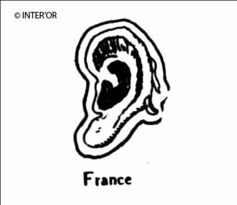 Oreille gauche