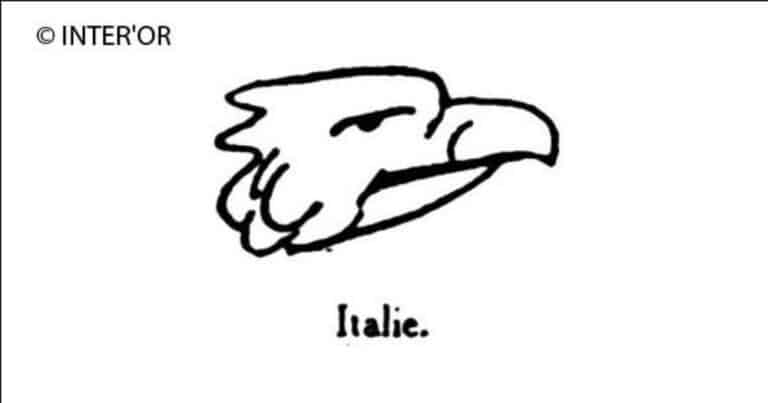 Petite tete d'aigle