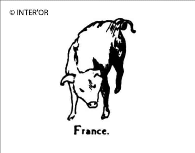 Porc