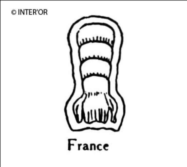 Queue d'ecrevisse