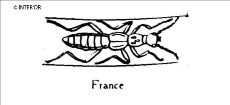 Staphilin