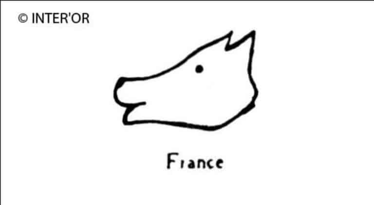 Tete d'animal