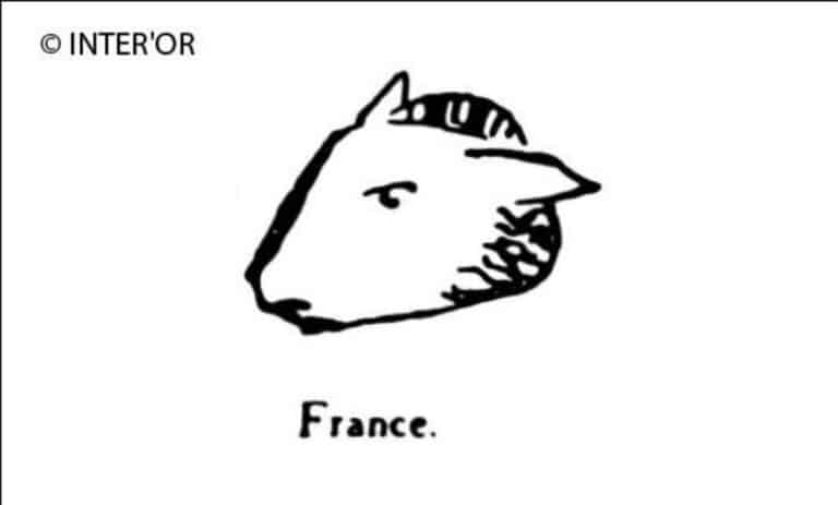 Tete de belier