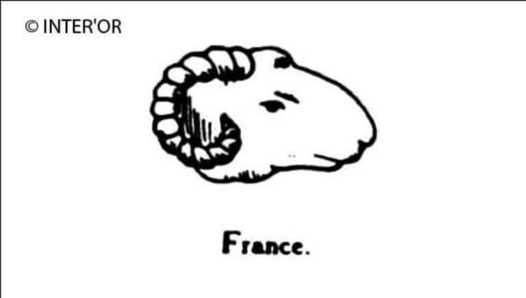Tete de bouc