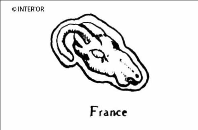 Tete de bouc