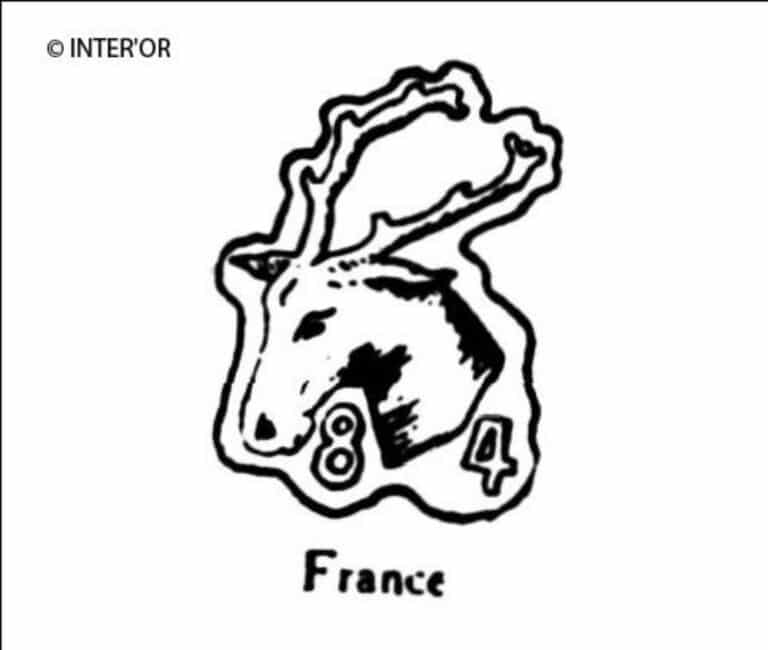Tete de cerf 84