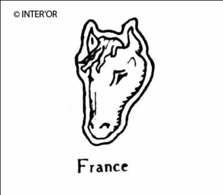 Tete de cheval