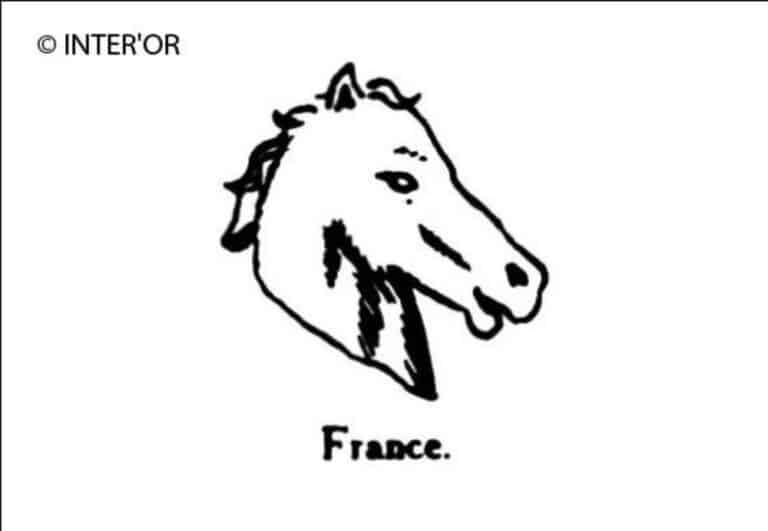 Tete de cheval