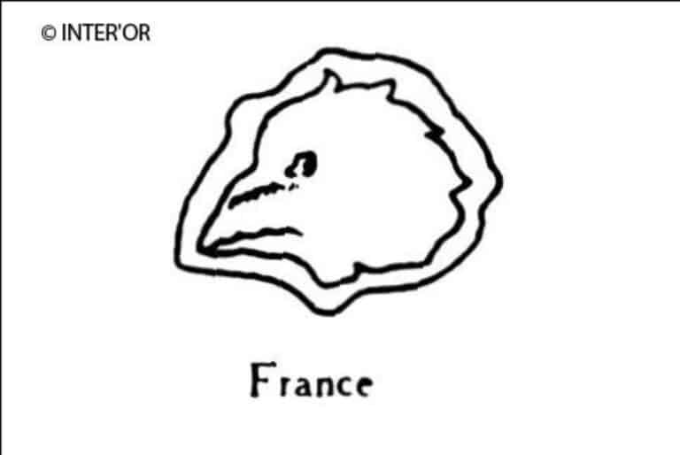 Tete de coq profil à gauche