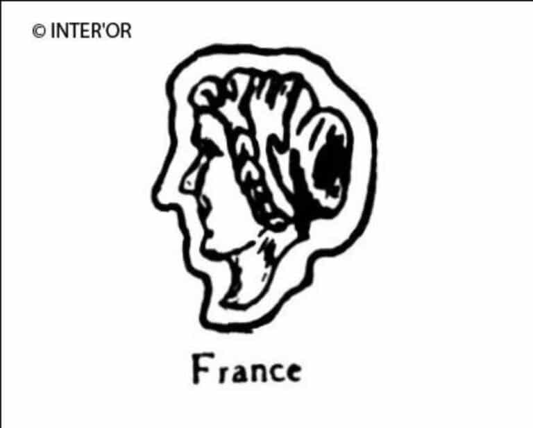 Tete de femme profil à gauche