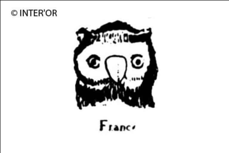 Tete de hibou