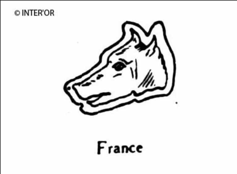 Tete de loup