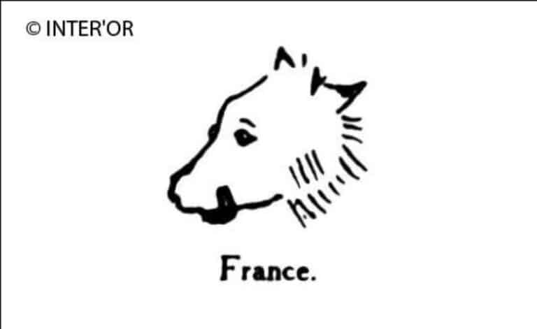 Tete de loup