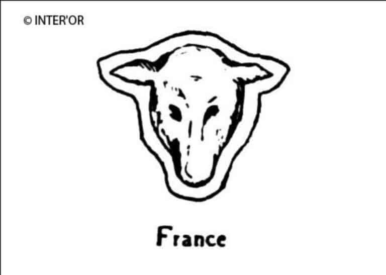 Tete de mouton