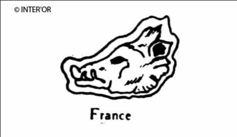 Tete de sanglier
