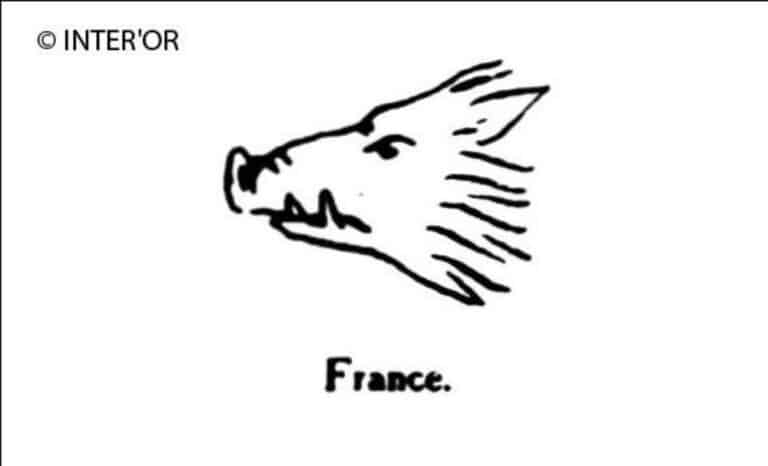 Tete de sanglier